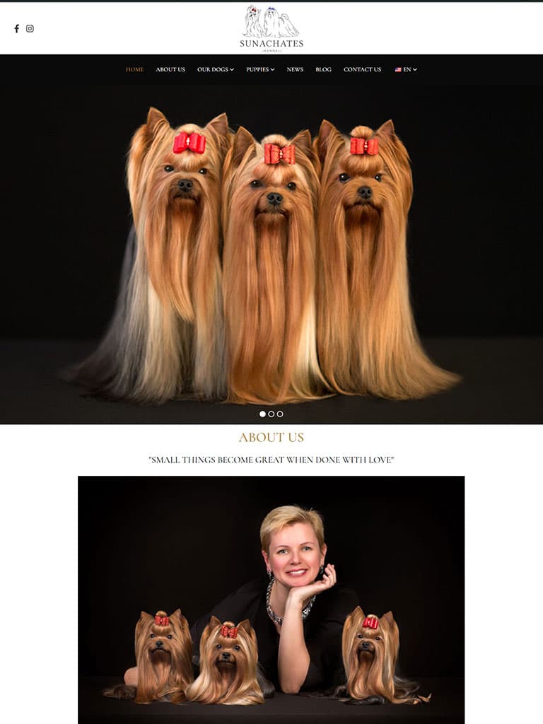 Sunachates preview 1